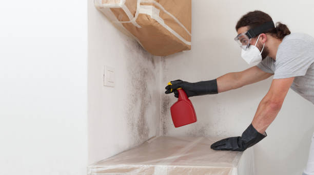 Professional Crawl Space Mold Removal technician working in Beverly, MA