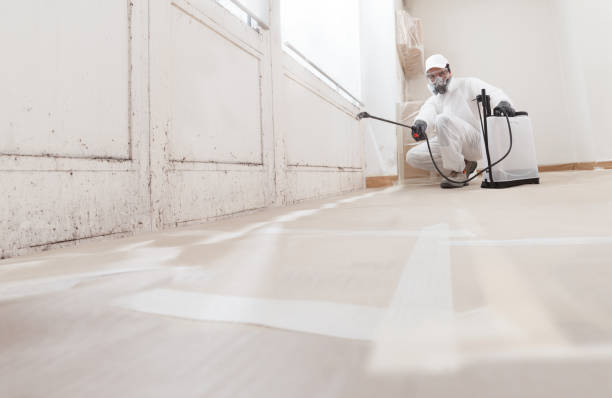 24/7 Emergency Crawl Space Mold Removal experts in Beverly, MA
