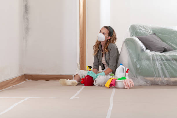 Reliable Crawl Space Mold Removal contractor in Beverly, MA by WQB Mold Removal